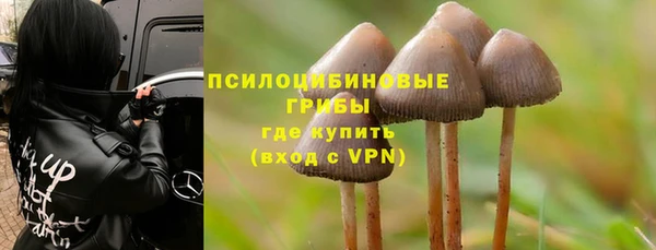 PSILOCYBIN Верея